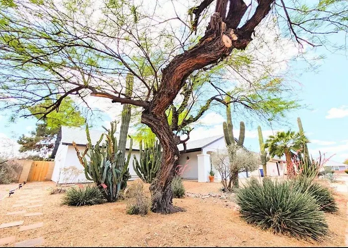 Cactus Guest Gasthof Chandler