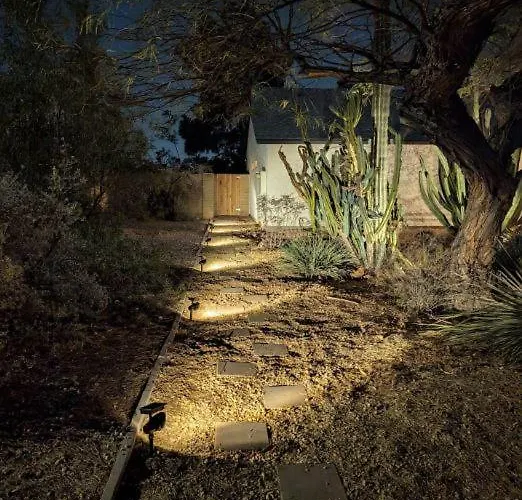 Cactus Guest