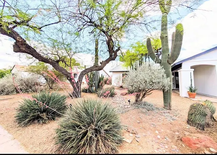 Gasthof Cactus Guest 4*